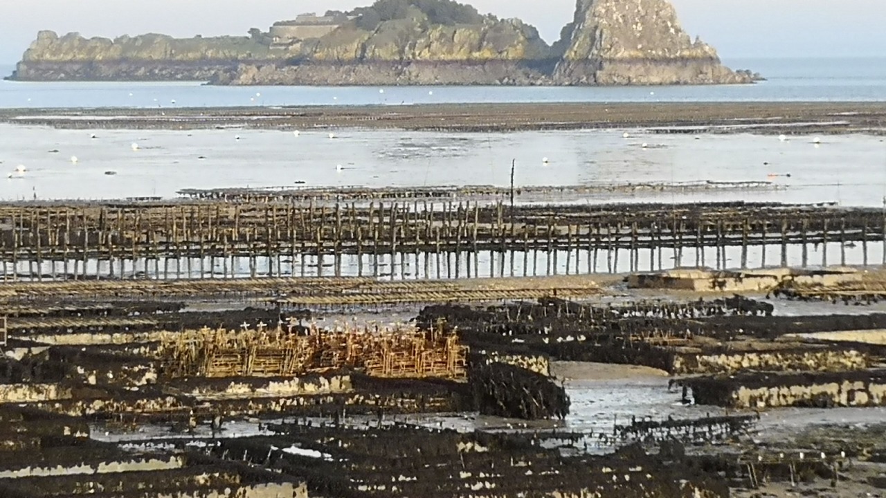 Photo of Others in Cancale