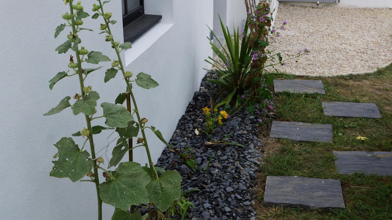 Photo of Outdoor in Barbatre