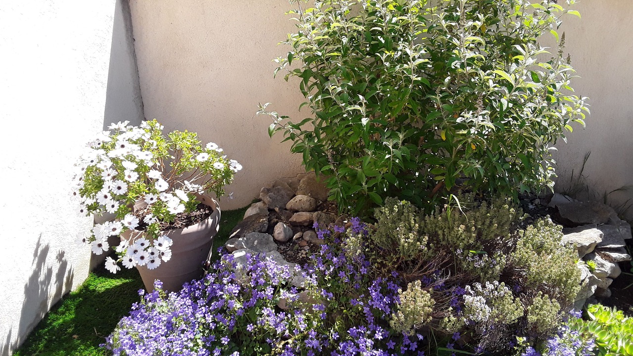 Photo of Outdoor in Bedoin