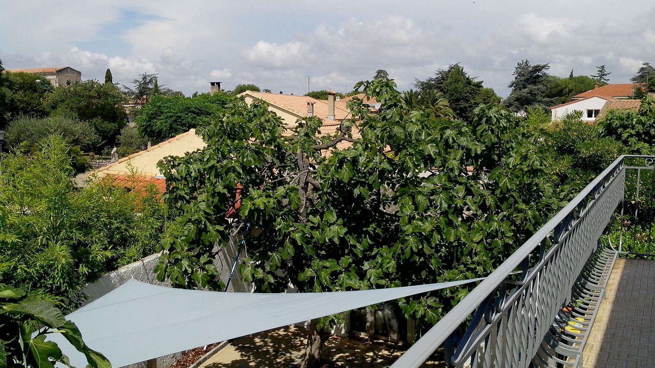 Photo of Outdoor in Perols