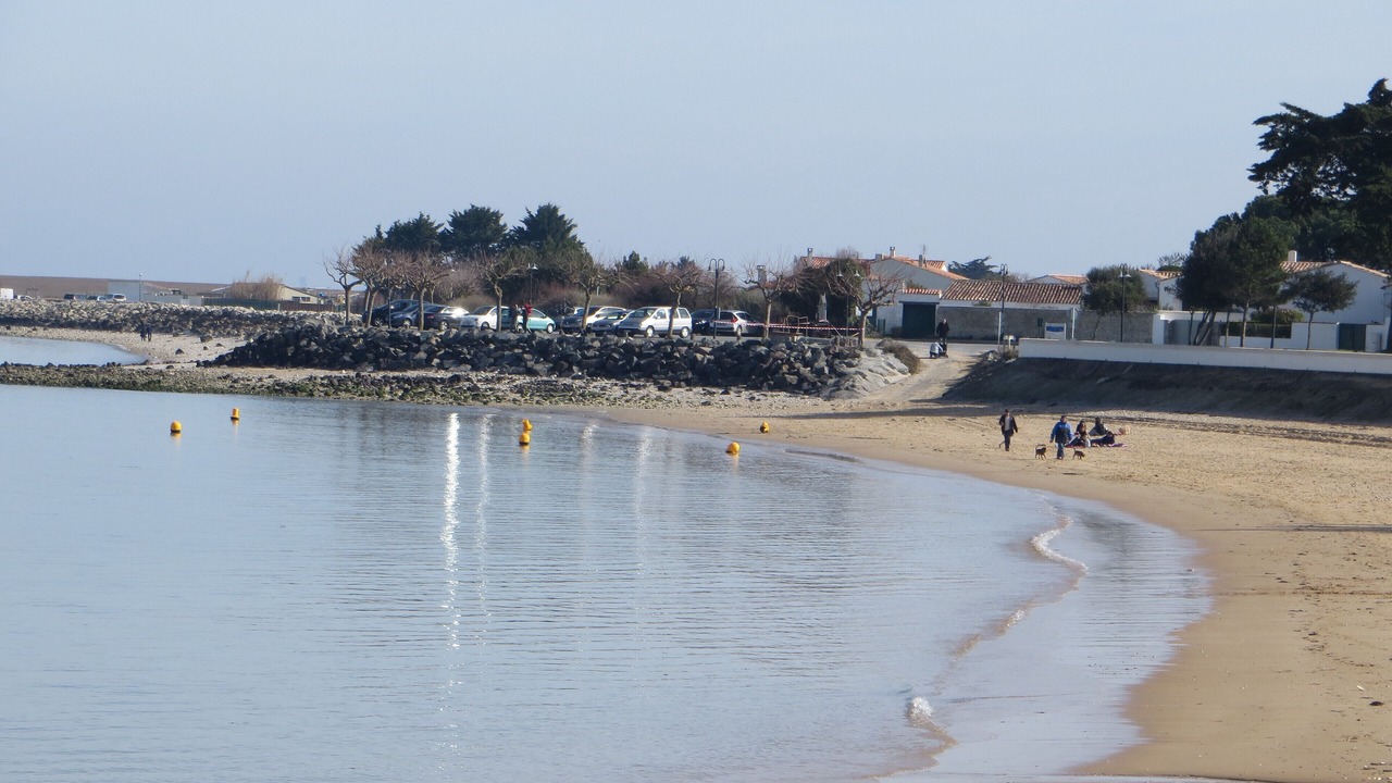 Photo of Others in La Flotte