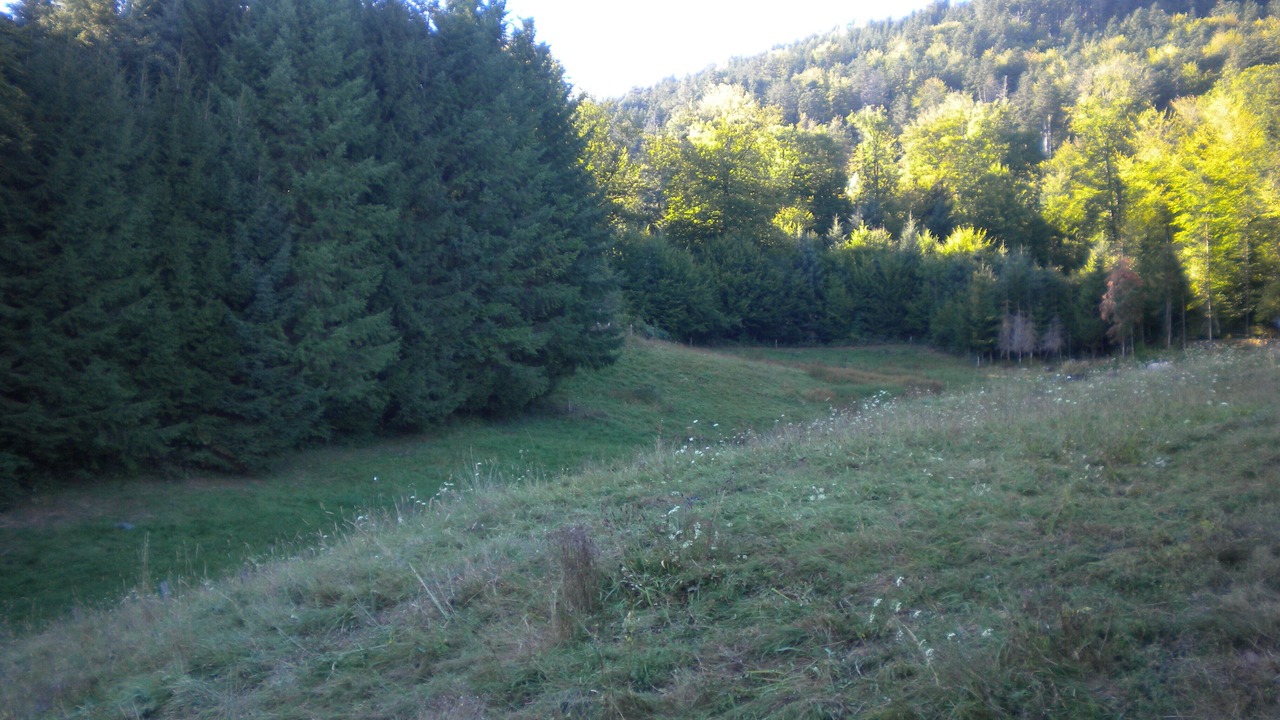 Photo of Outdoor in Moyenmoutier
