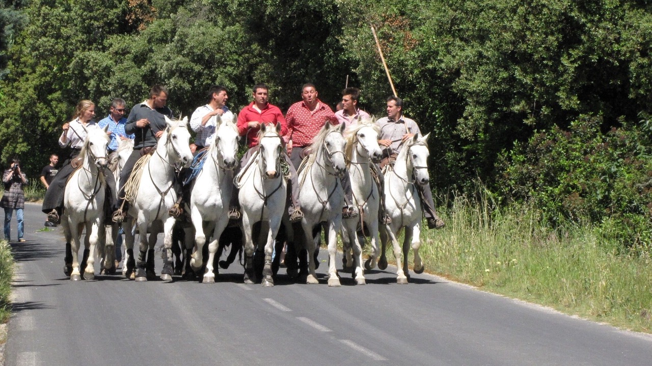 Photo of Others in Galargues