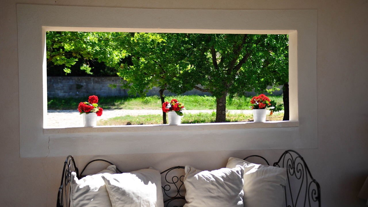 Photo of Others in Vaison-la-Romaine