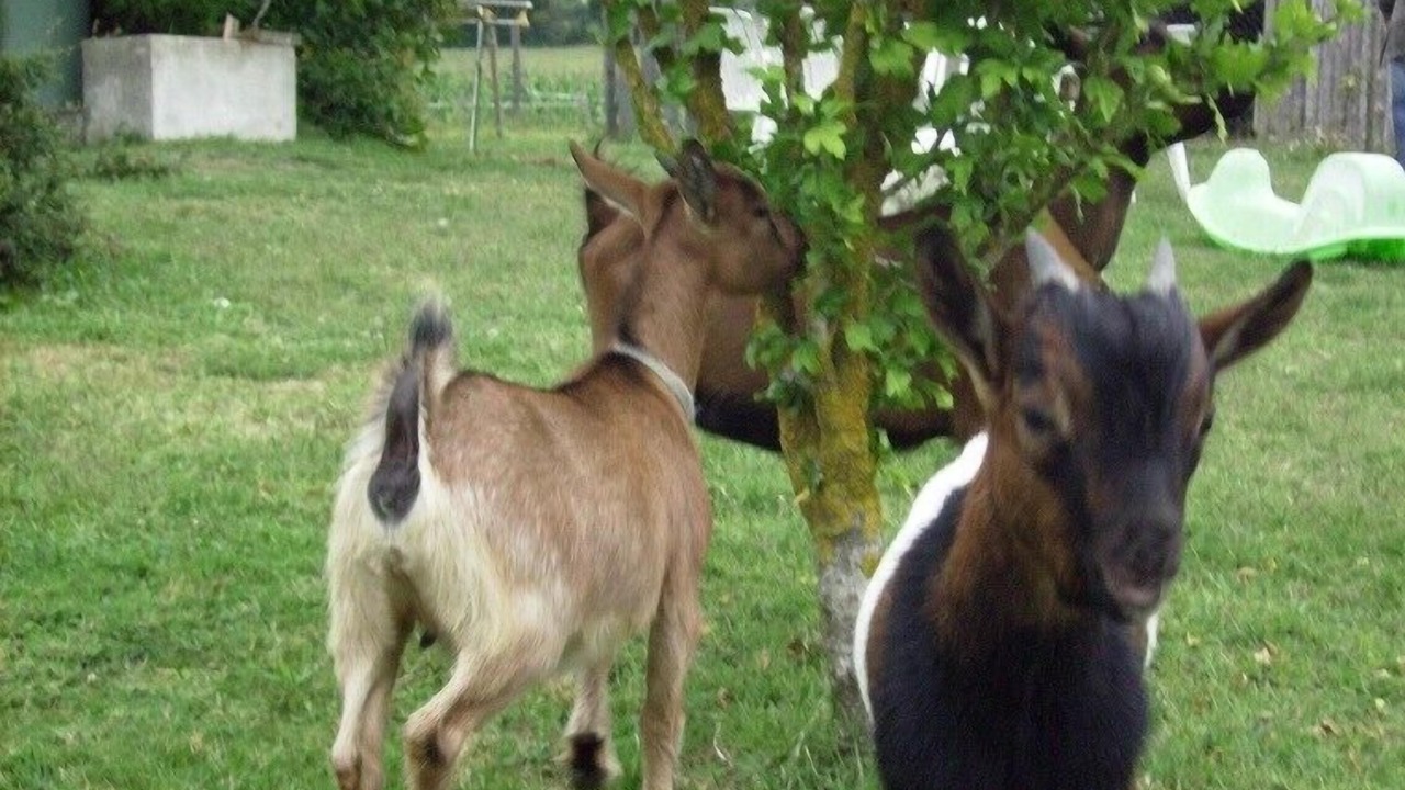 Photo of Outdoor in Monclar