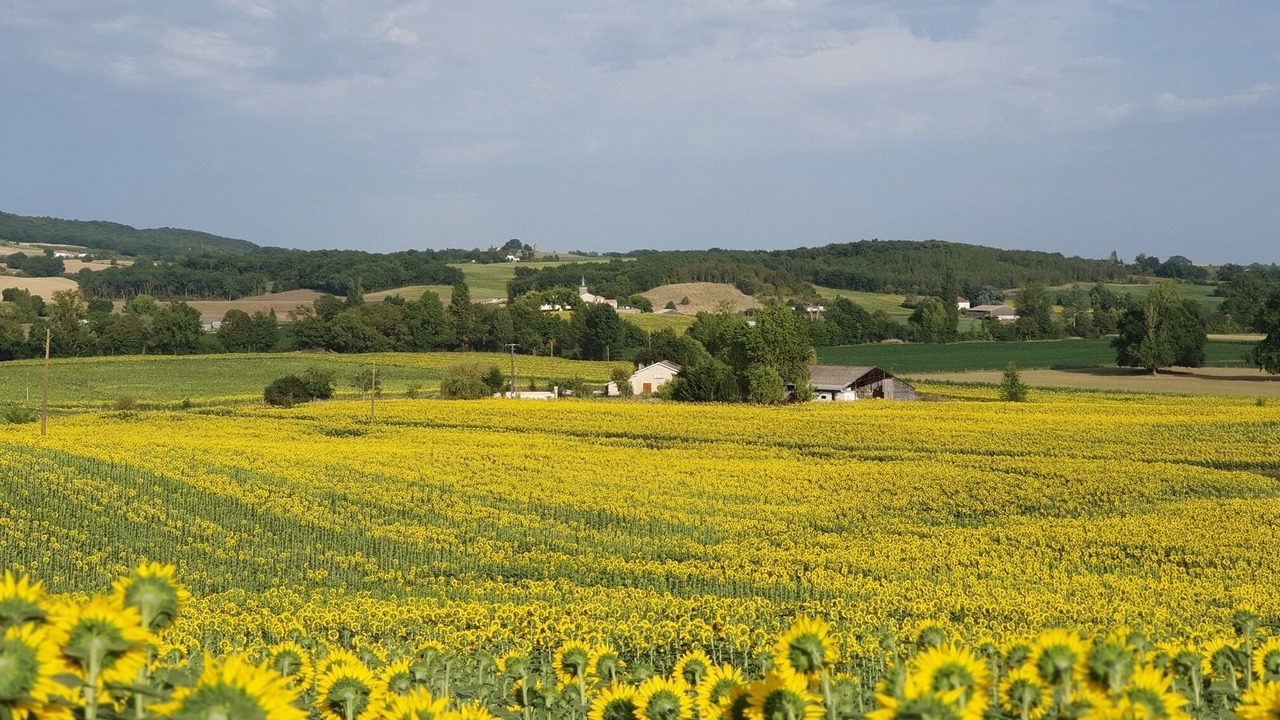 Photo of Outdoor in Monclar