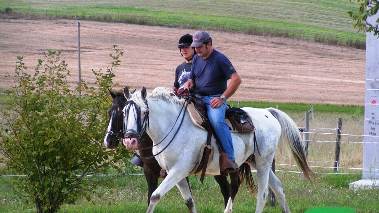 Photo of Others in Monclar