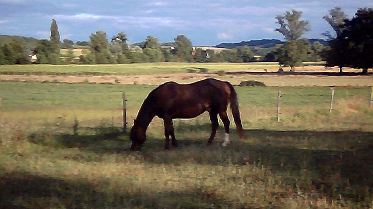 Photo of Others in Monclar