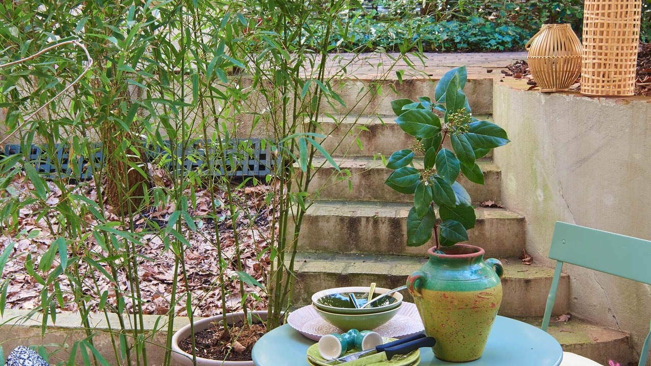 Photo of Outdoor in Plaisance