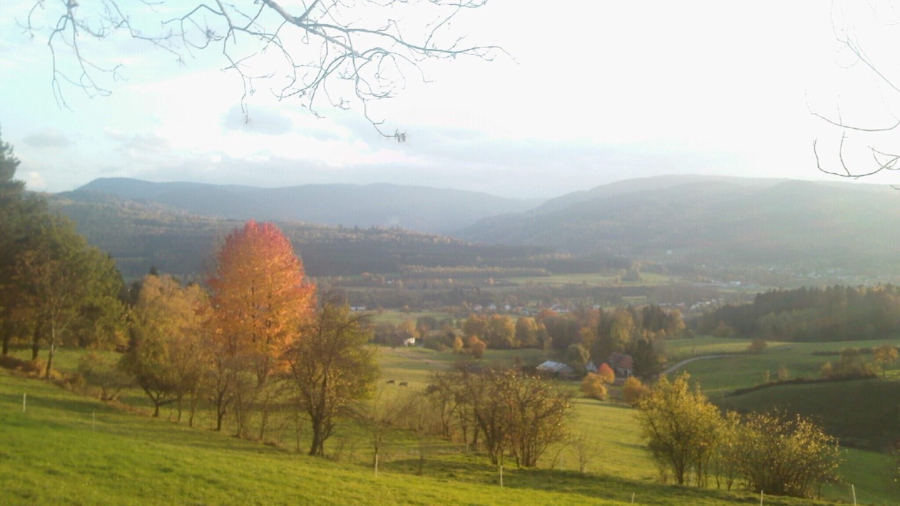 Photo of Outdoor in Fraize
