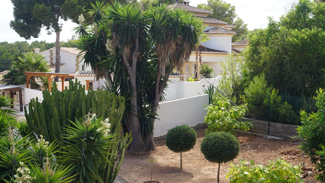Photo of Outdoor in Moraira