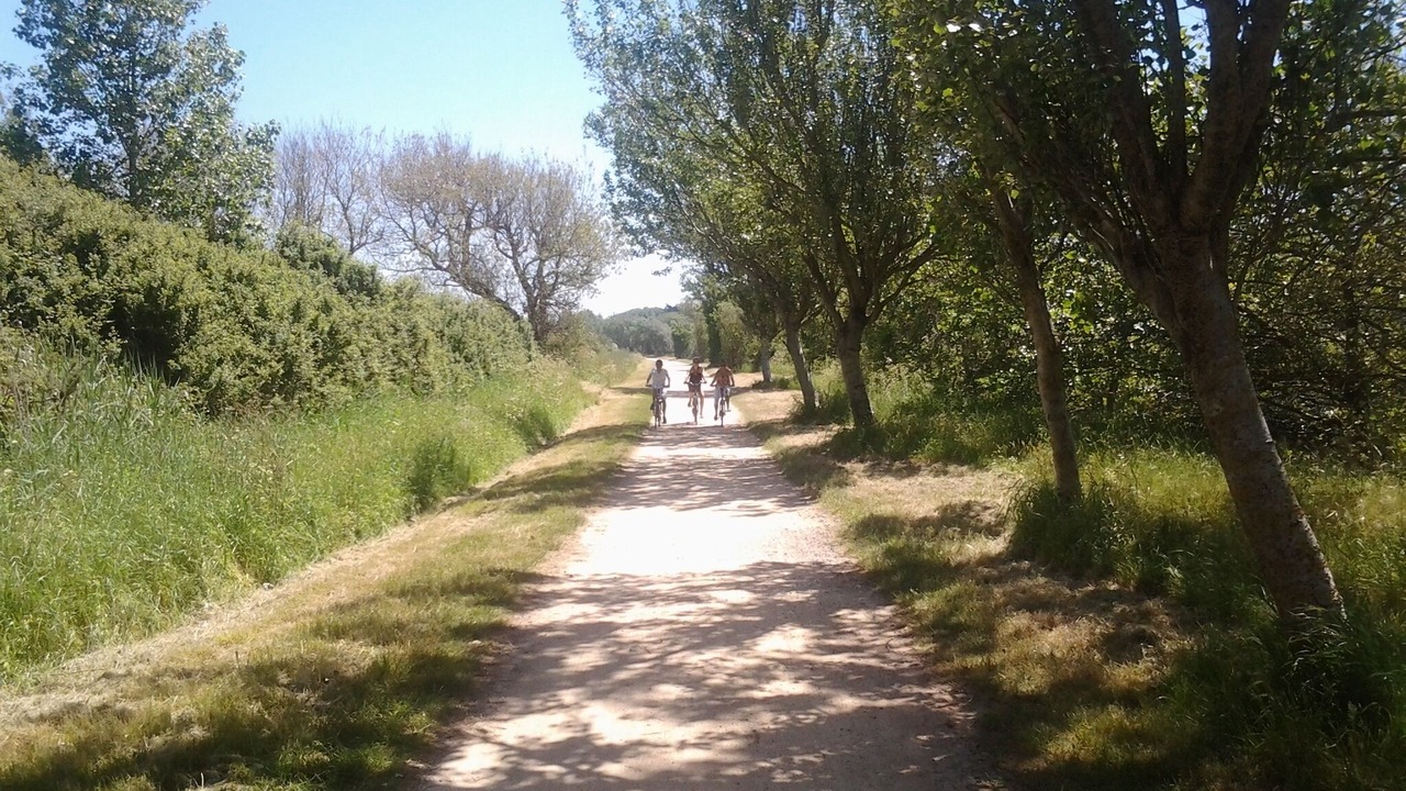 Photo of Outdoor in Saint-Gilles-Croix-de-Vie