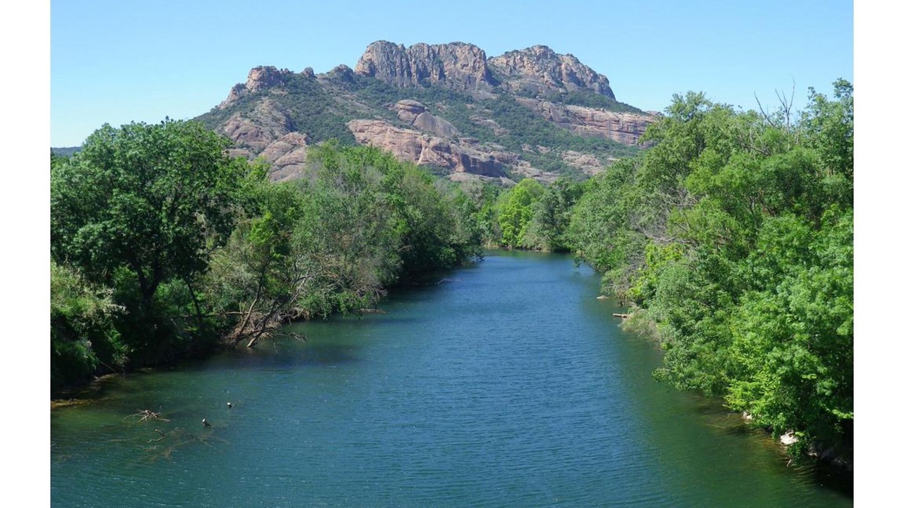 Photo of Others in Roquebrune-sur-Argens