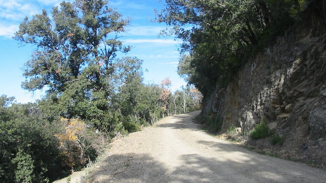Photo of Outdoor in Reynes