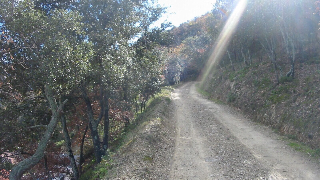 Photo of Outdoor in Reynes