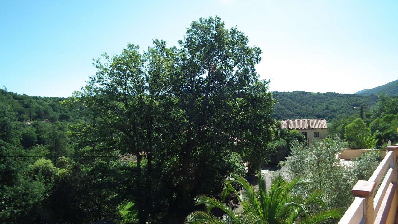 Photo of Outdoor in Reynes