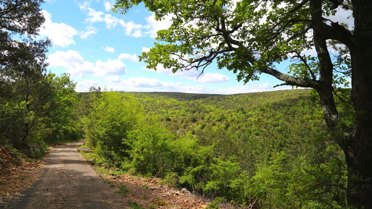 Photo of Outdoor in Orgnac-l'Aven