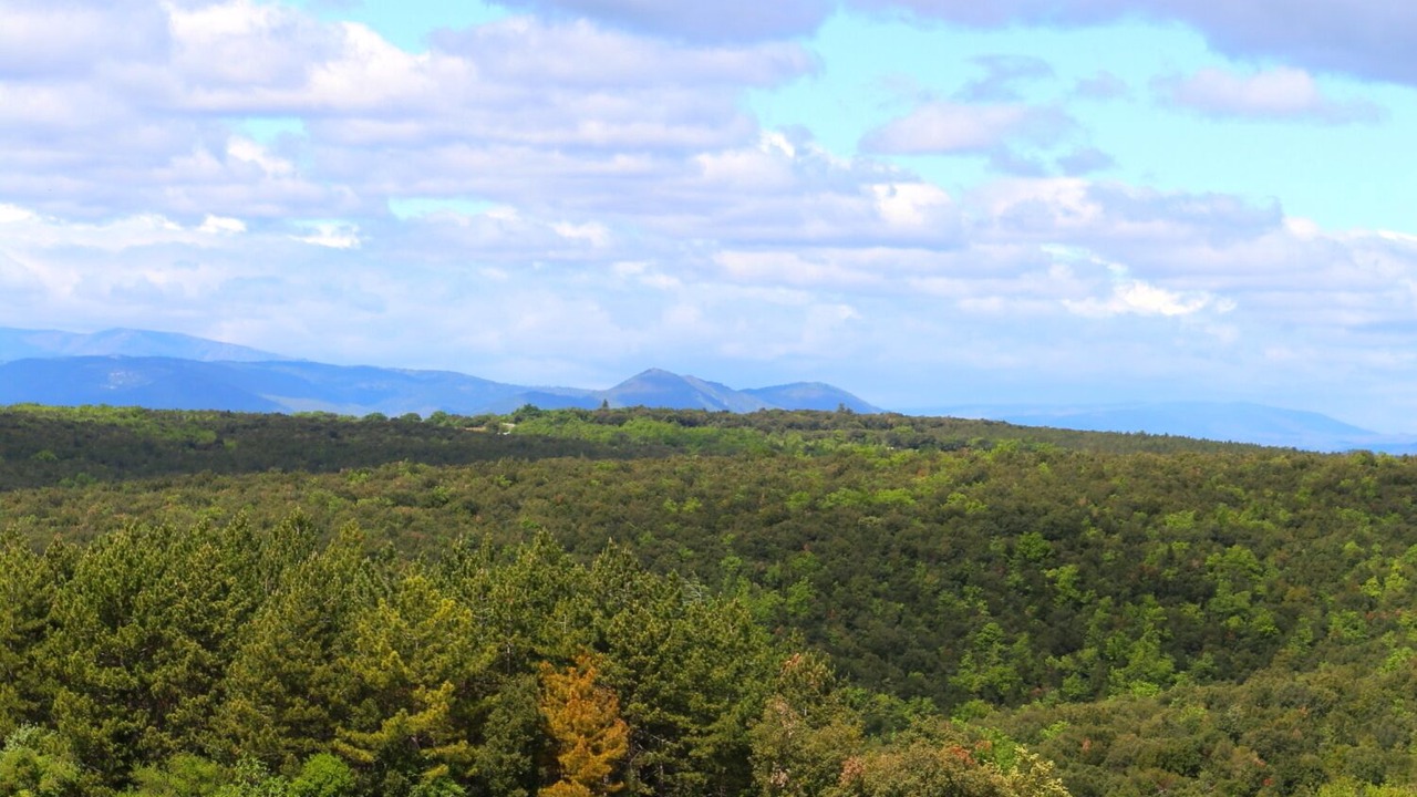 Photo of Outdoor in Orgnac-l'Aven