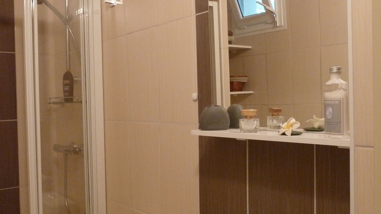 Photo of Bathroom in Annecy