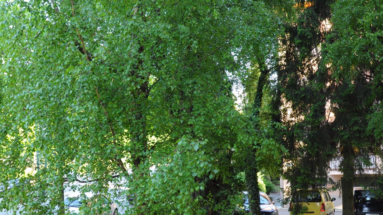 Photo of Outdoor in Annecy