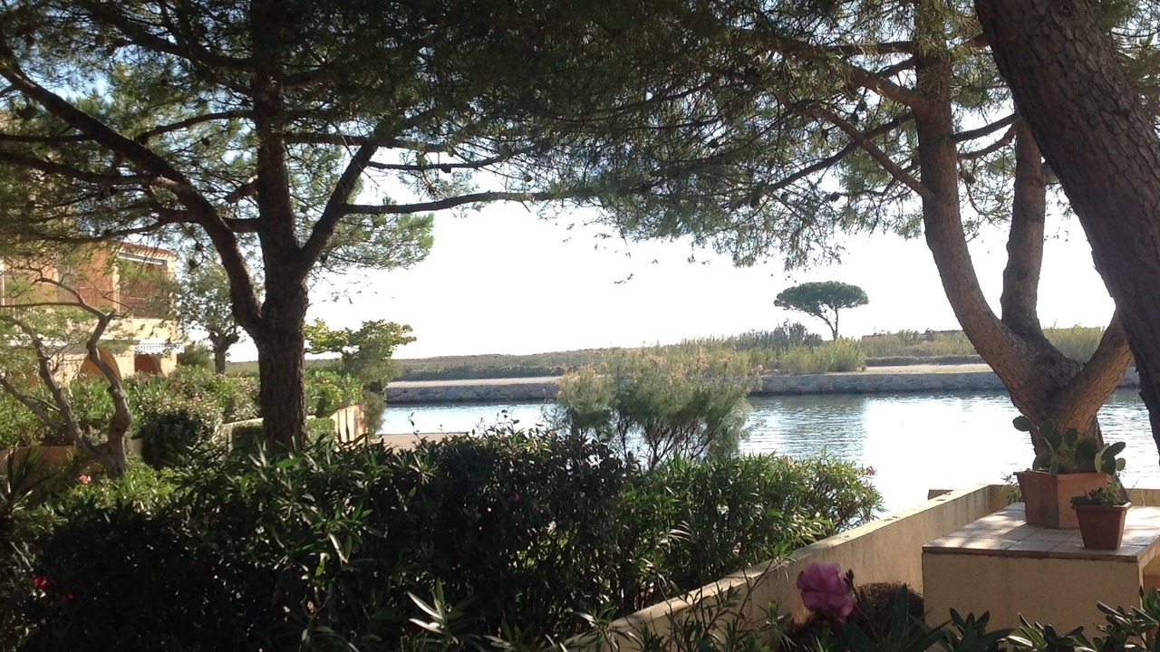 Photo of Outdoor in Saint-Cyprien Plage