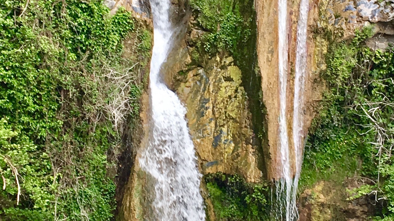 Photo of Outdoor in Santa-Maria-Poggio