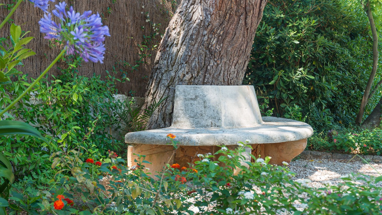 Photo of Outdoor in Cap-Ferrat