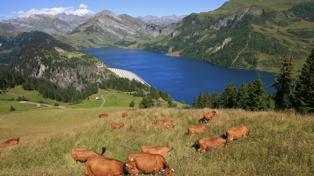 Photo of Outdoor in Beaufort