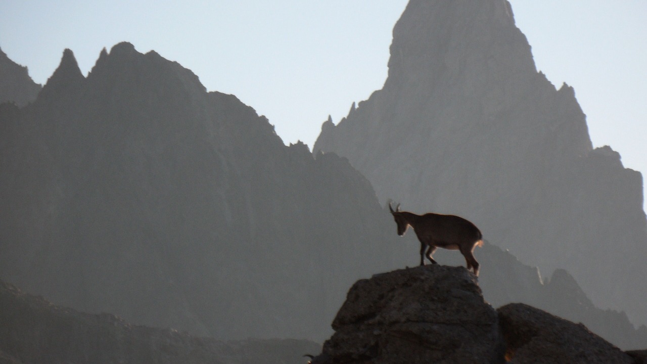 Photo of Outdoor in Beaufort