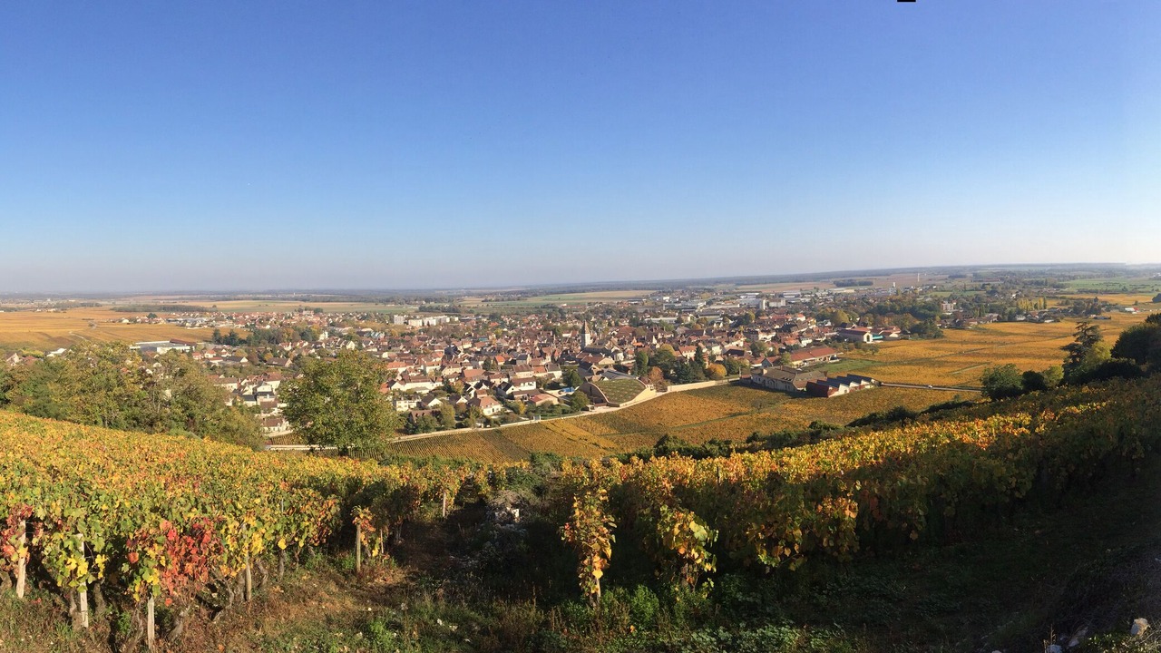 Photo of Outdoor in Nuits-Saint-Georges
