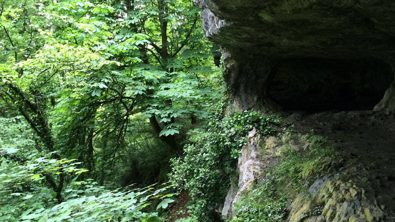 Photo of Outdoor in Nuits-Saint-Georges