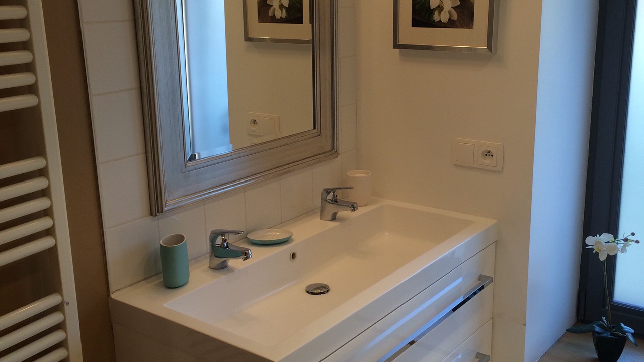 Photo of Bathroom in Nuits-Saint-Georges