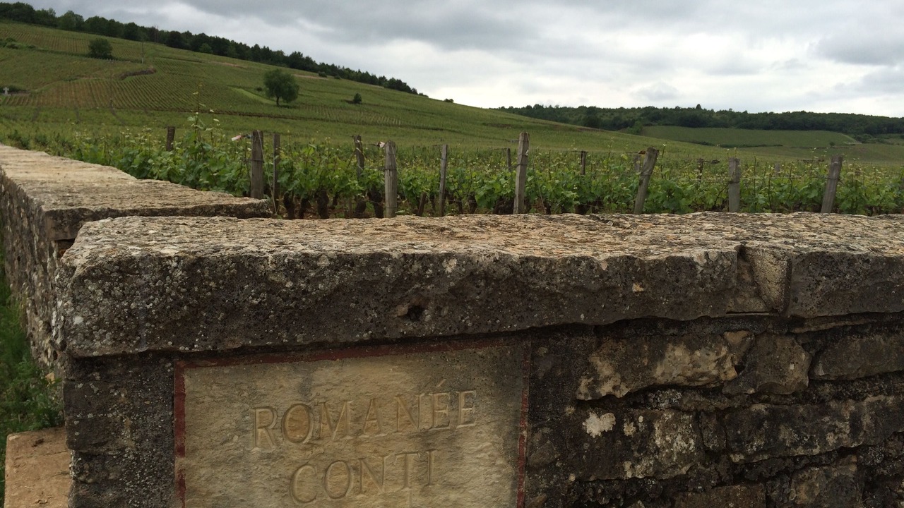 Photo of Others in Nuits-Saint-Georges