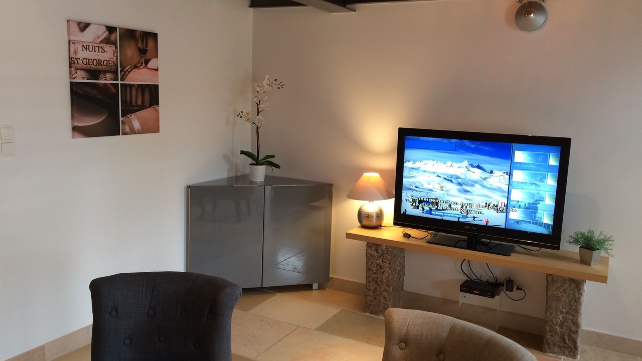 Photo of Livingroom in Nuits-Saint-Georges