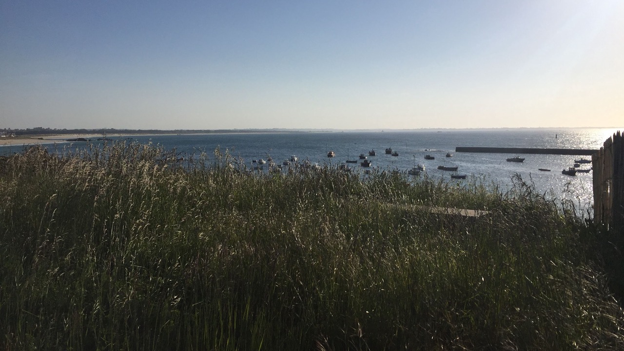 Photo of Others in Plouescat