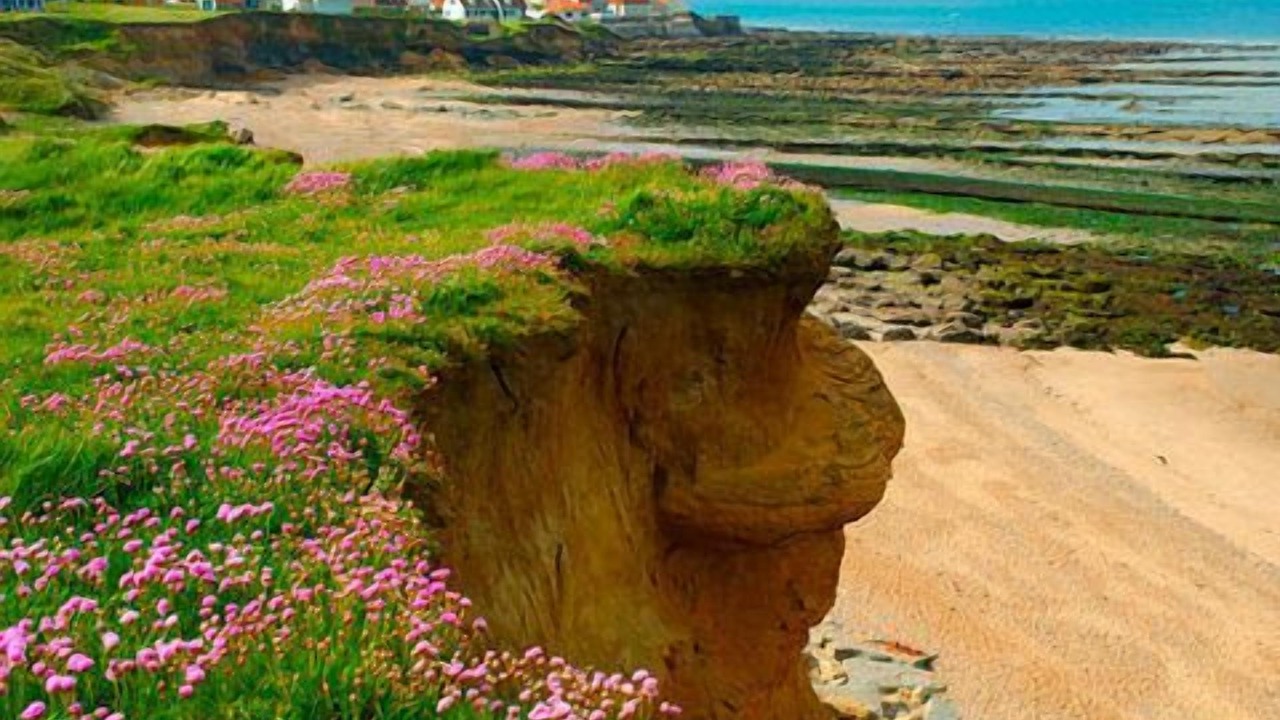 Photo of Others in Audresselles