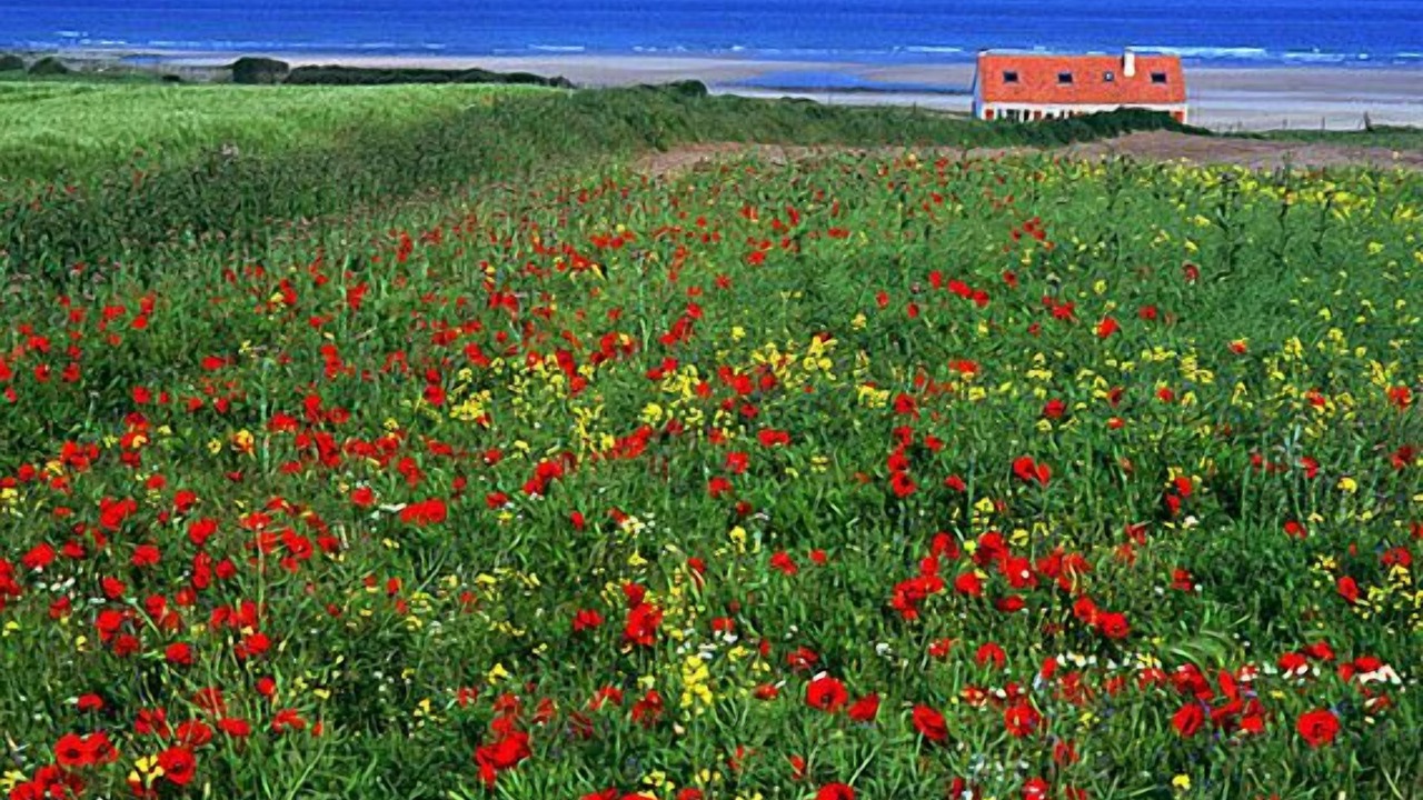 Photo of Others in Audresselles