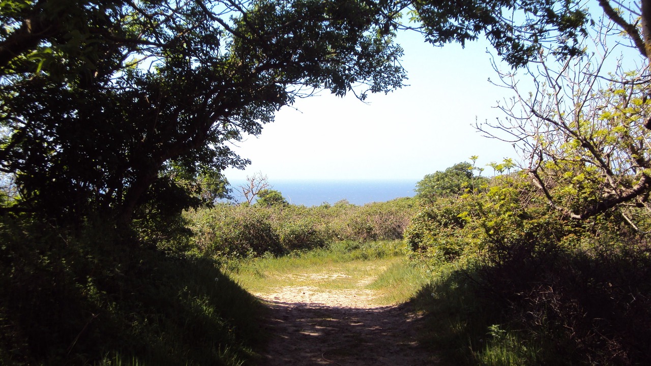 Photo of Outdoor in Equihen-Plage