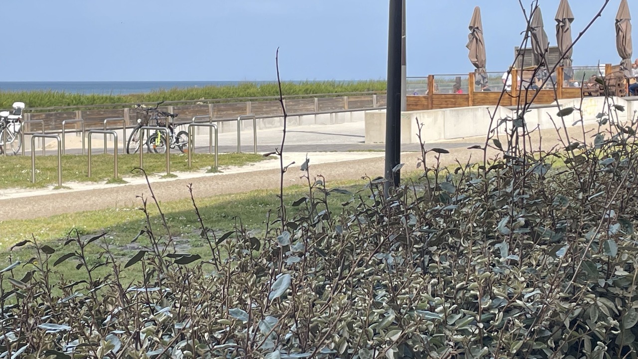 Photo of Outdoor in Mimizan-Plage