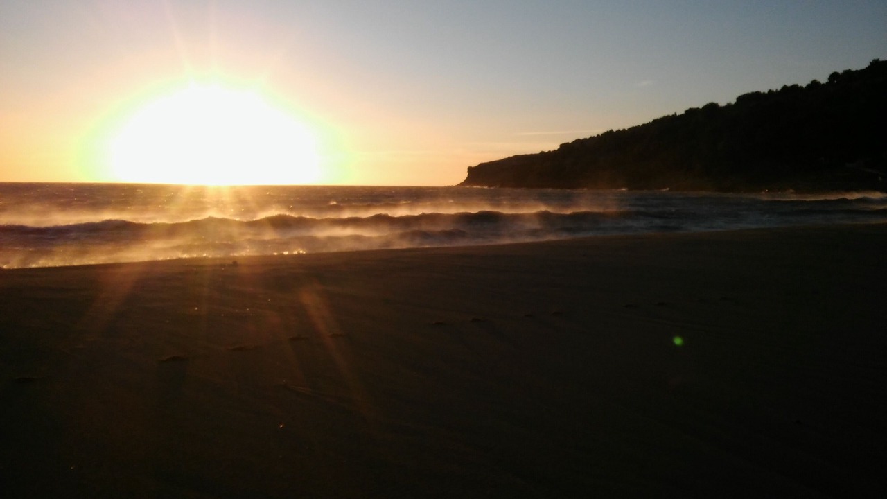 Photo of Others in La Franqui