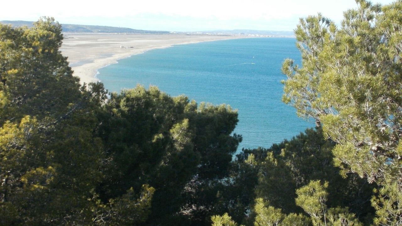 Photo of Others in La Franqui