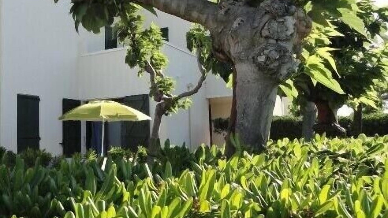 Photo of Outdoor in Le Barcares