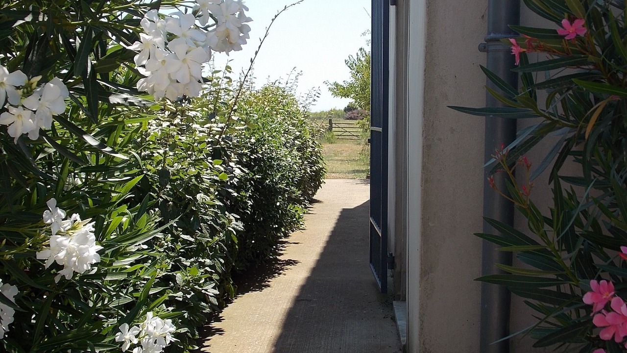 Photo of Outdoor in Le Grau-Du-Roi