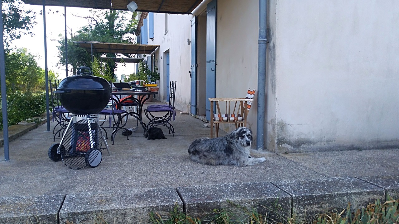 Photo of Outdoor in Le Grau-Du-Roi