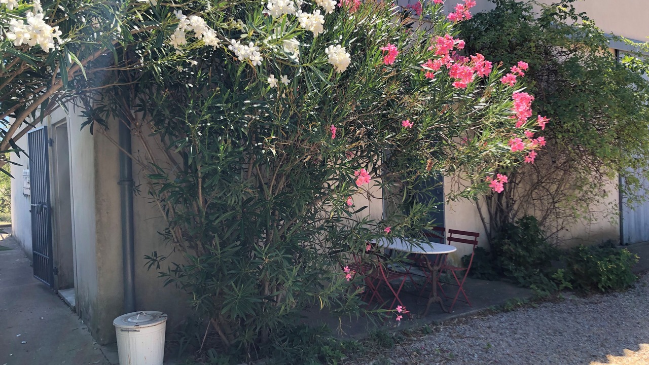 Photo of Outdoor in Le Grau-Du-Roi