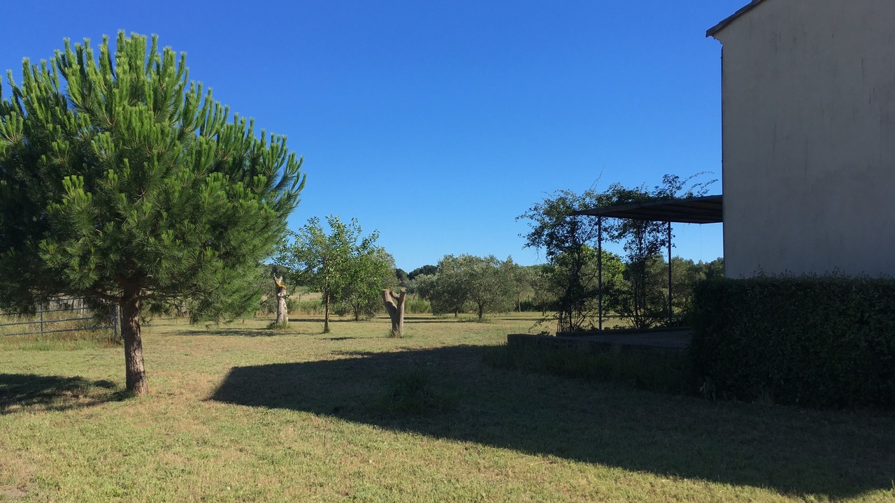 Photo of Outdoor in Le Grau-Du-Roi