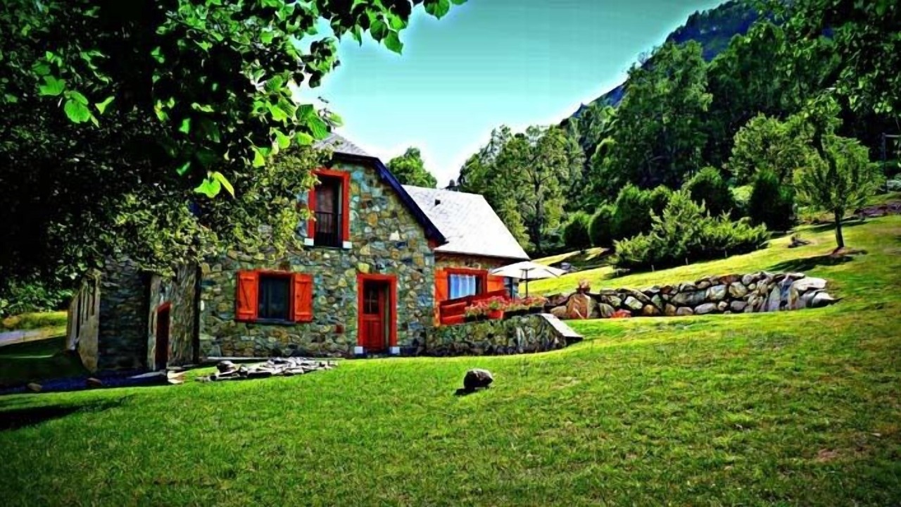Photo of Outdoor in Bun