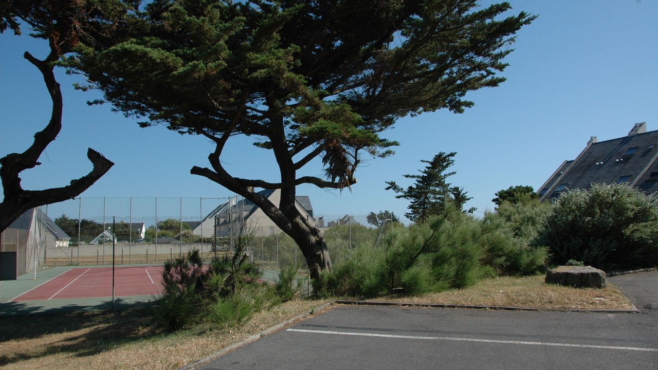 Photo of Others in La Turballe