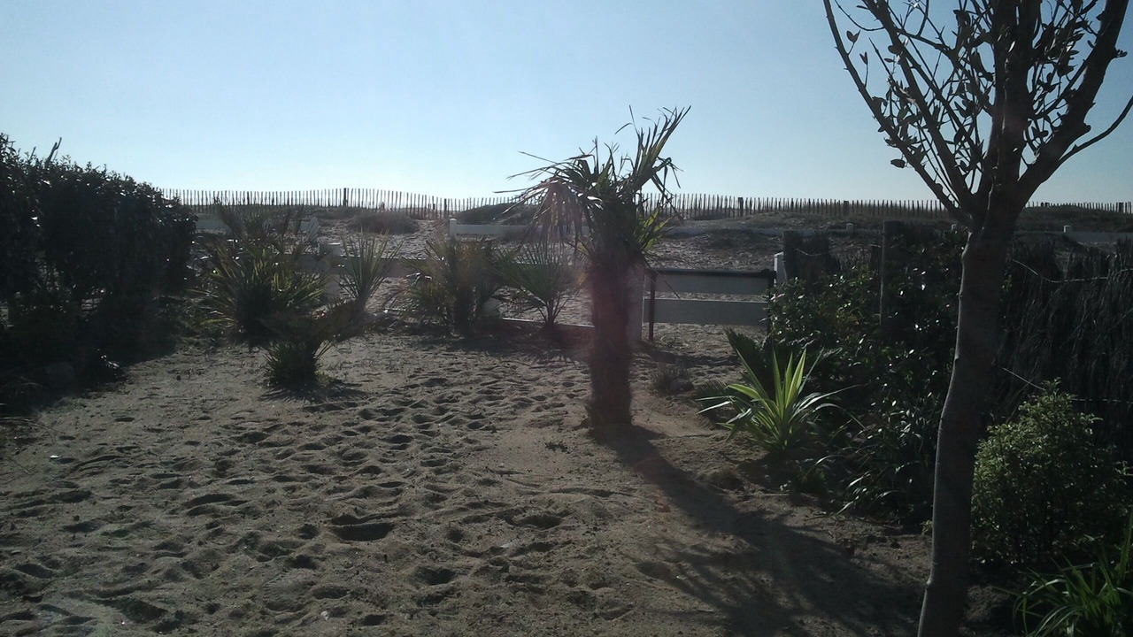 Photo of Outdoor in La Turballe