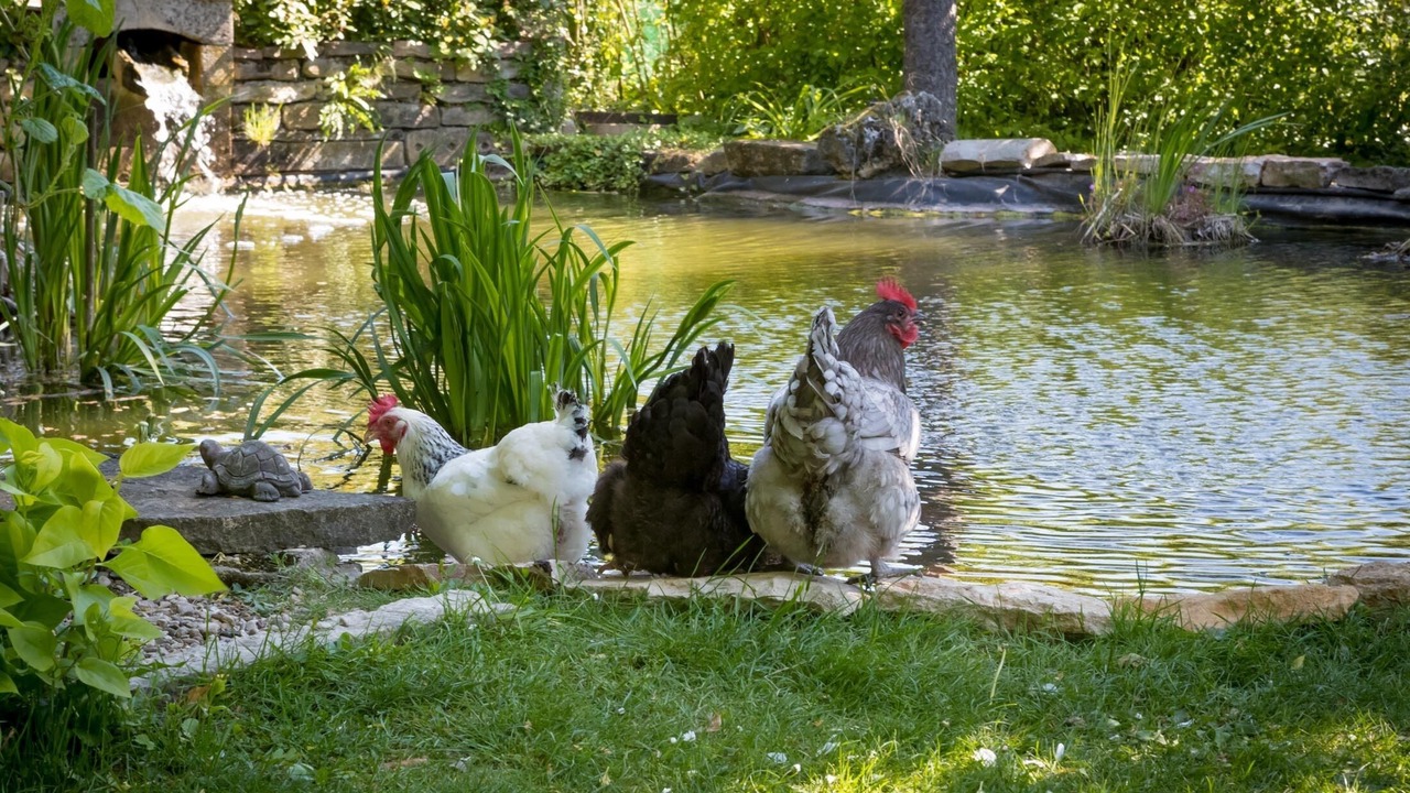 Photo of Outdoor in Levernois